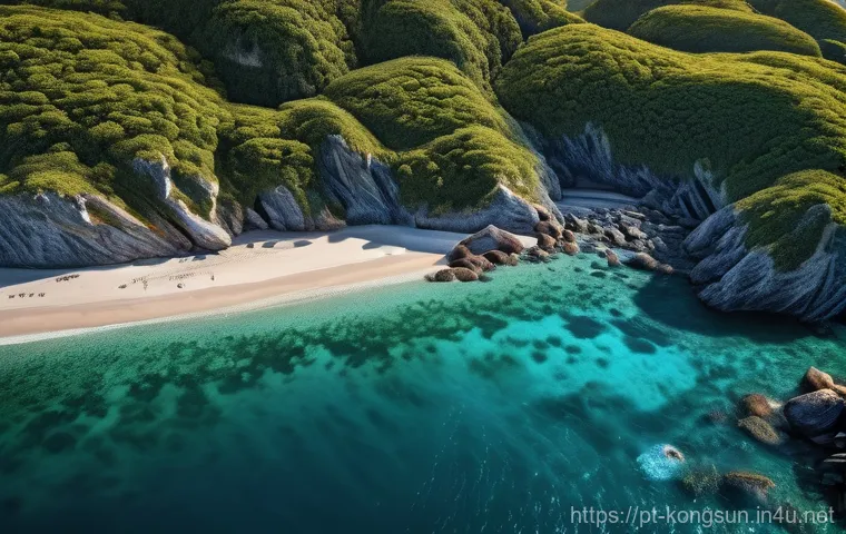 콩순이의 해외 반응 - Here are three image generation prompts in English, adhering to all the specified guidelines: